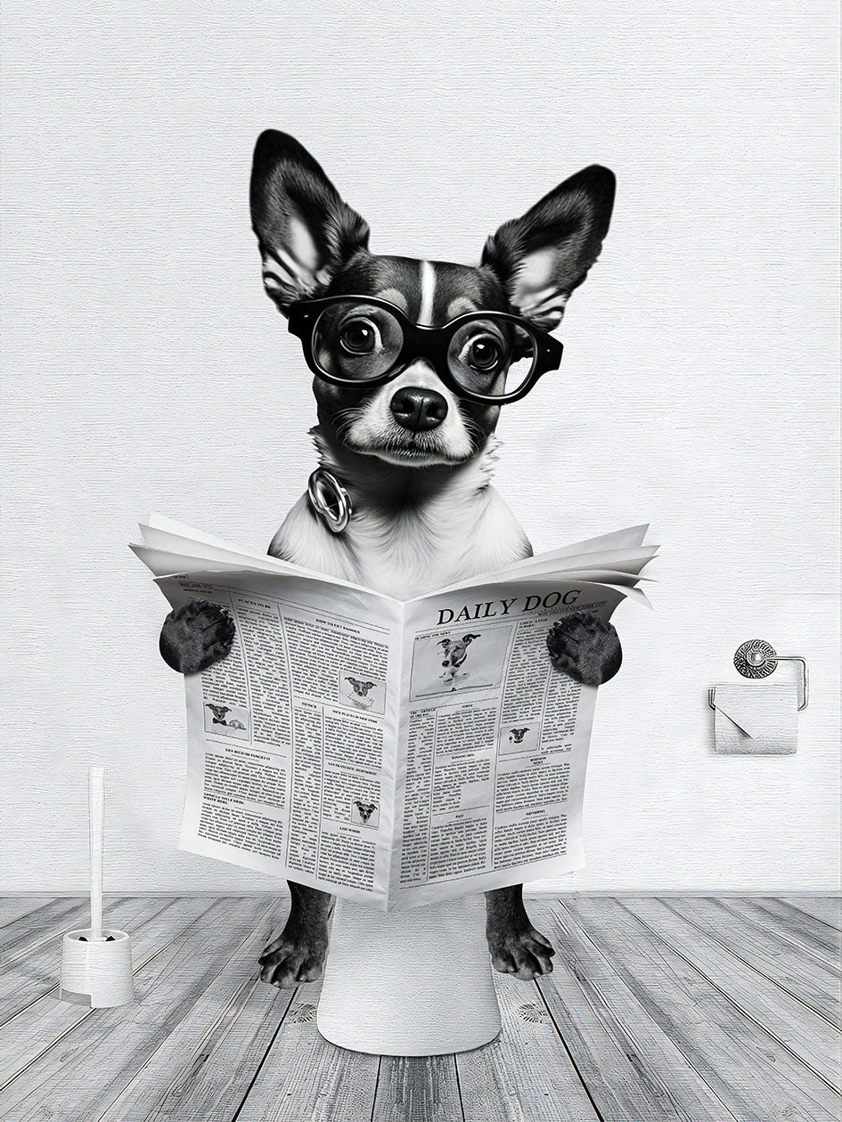 Cute Funny Animal Poster For Bathroom Wall