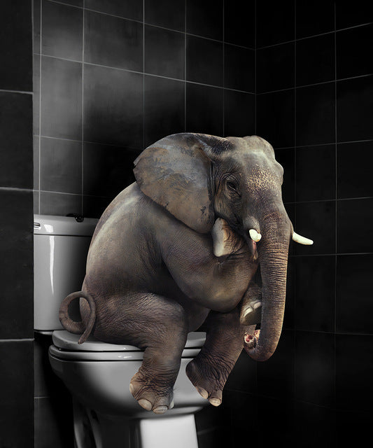 Cute Funny Animal Poster For Bathroom Wall